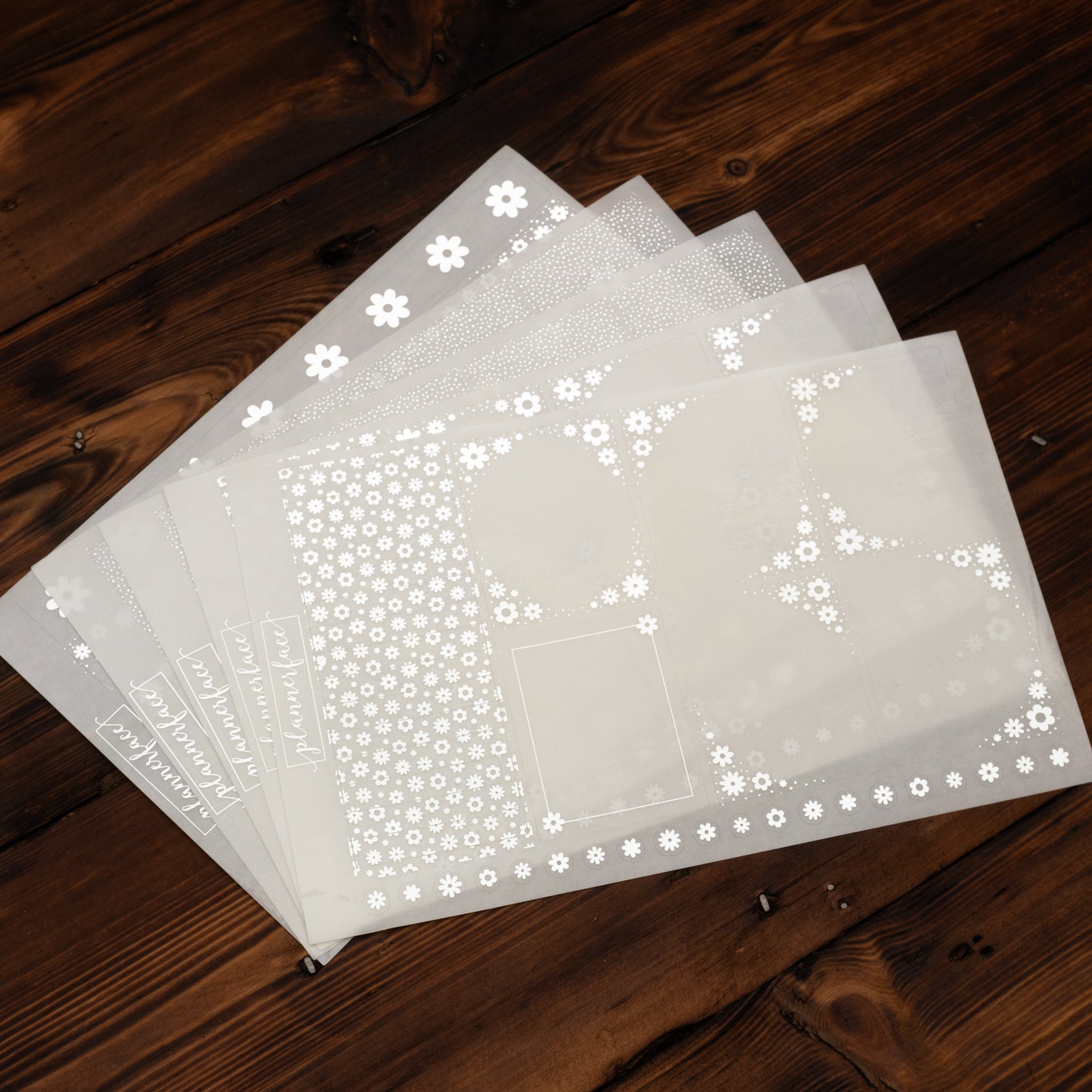 Daisy Foil Pack (Silver)