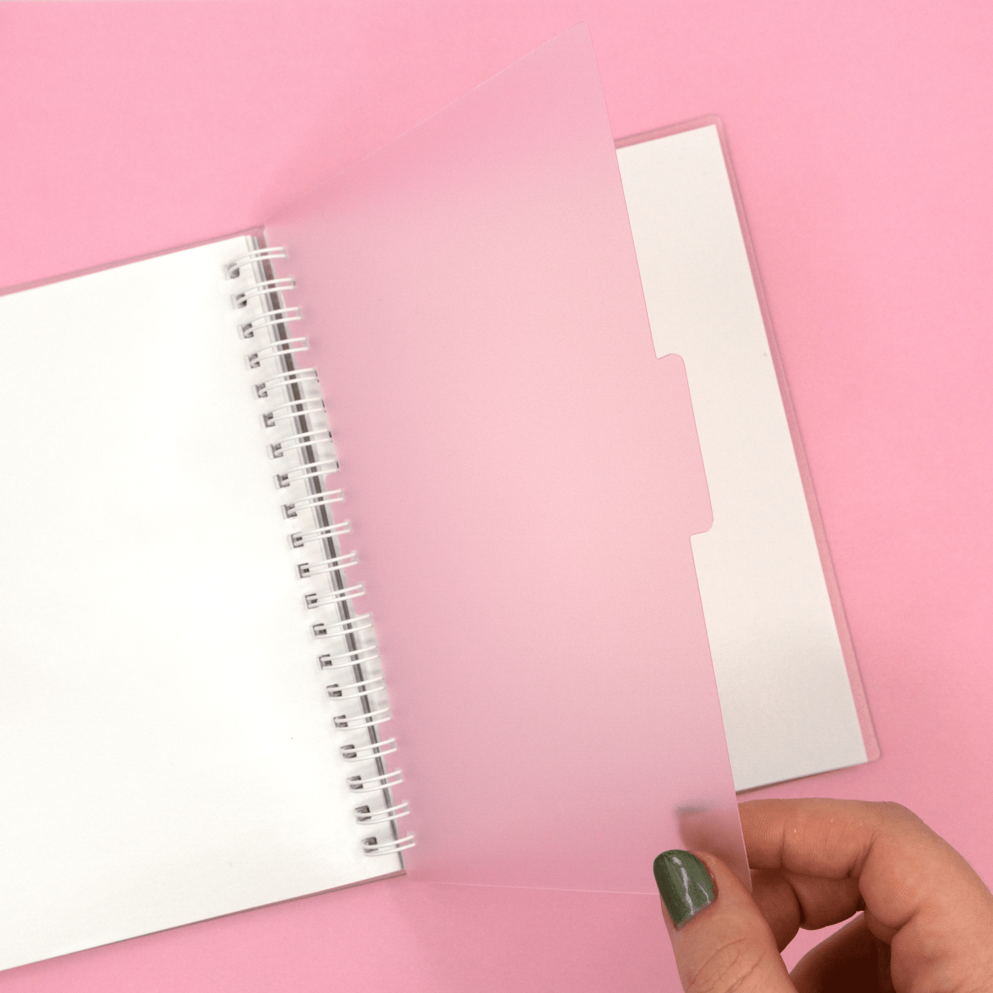 Pink Divider Set for Reusable Sticker Albums by Plannerface